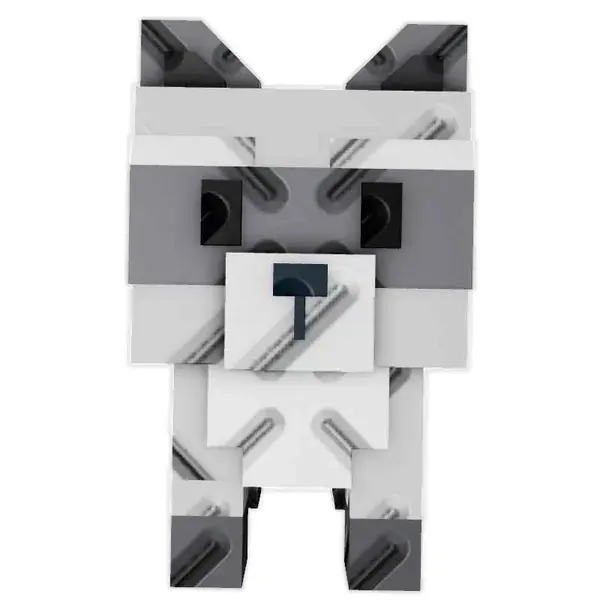 Raccoon — image 1