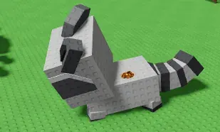 Huge Raccoon — image 1