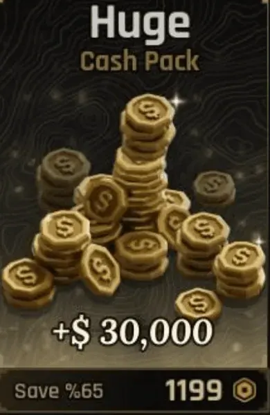 Huge Cash Pack — image 1