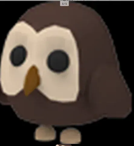 FR Owl