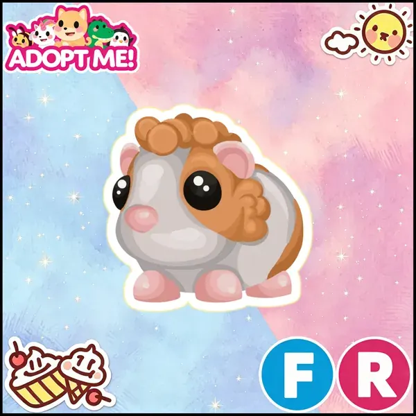 FR Red Dutch Guinea Pig 24/7 Online