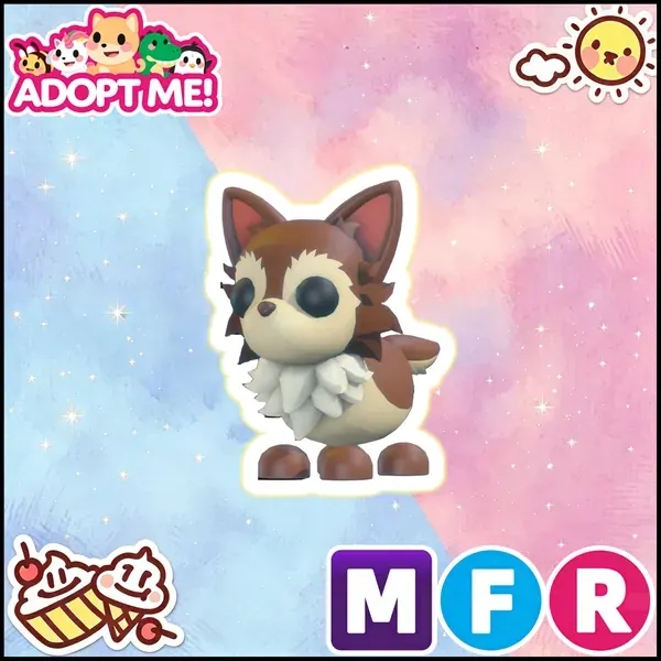 MFR Chihuahua 24/7 Online