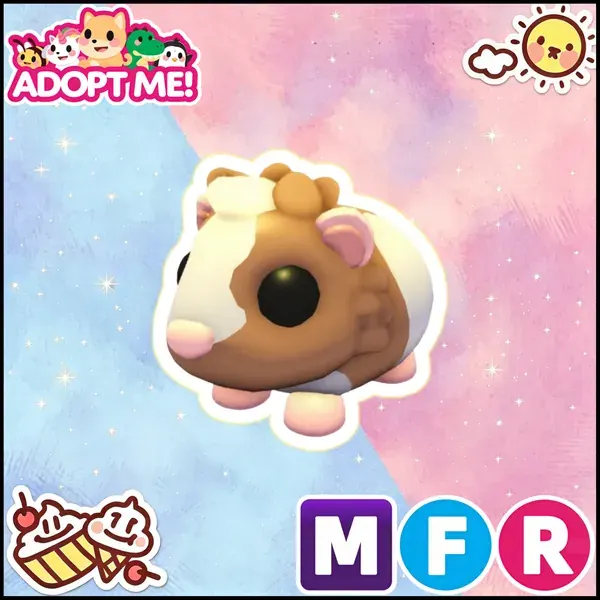 MFR Chocolate Dutch Guinea Pig 24/7 Online