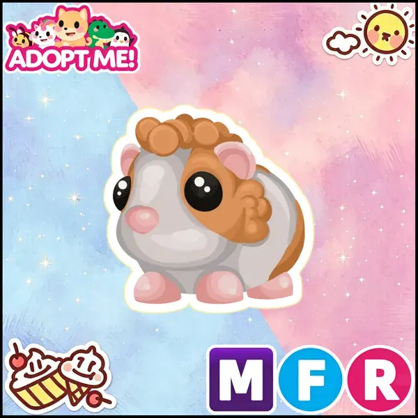 MFR Red Dutch Guinea Pig 24/7 Online