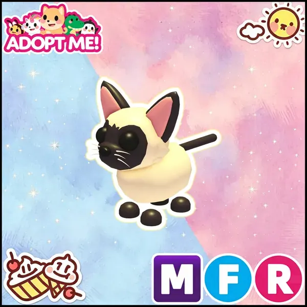 MFR Siamese Cat 24/7 Online