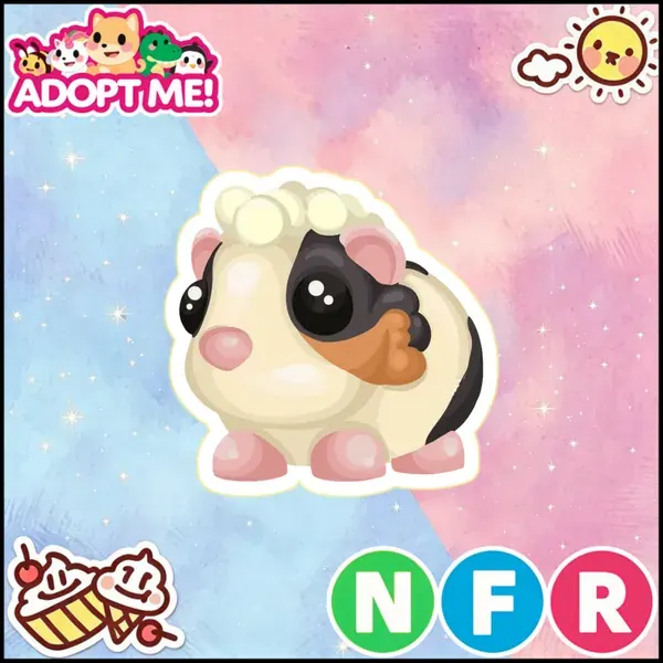 NFR Tortoiseshell Guinea Pig 24/7 Online