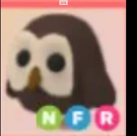 Owl NFR