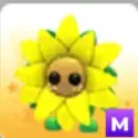 Sunflower Friend M