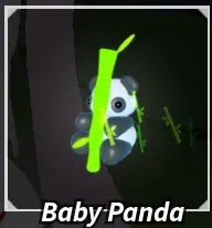 Baby Panda Limited Lantern