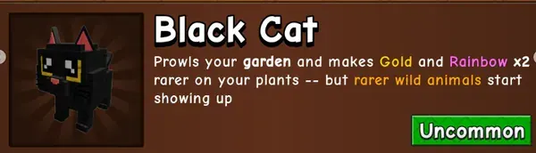 Black Cat