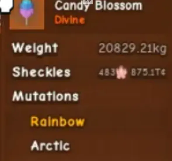20829KG Candy Blossom 480 Quadrillion Sheckles