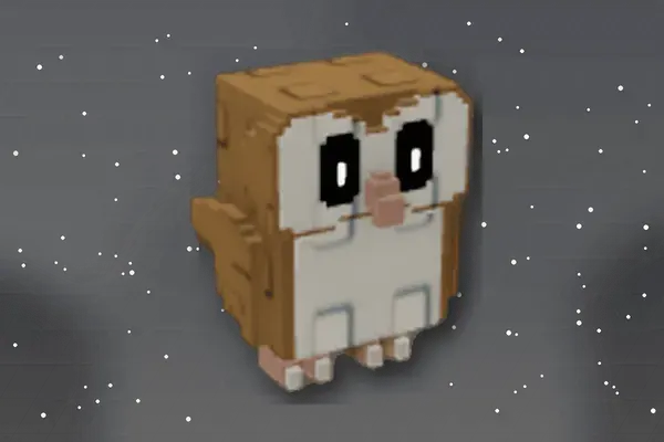 Barn Owl