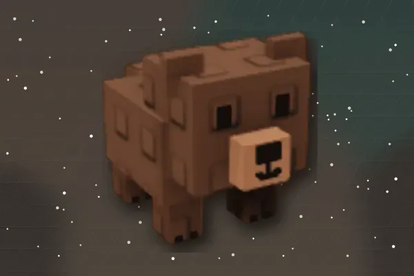Grizzly Bear