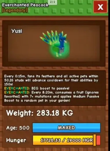 Huge Peacock 280Kg+ Age 500