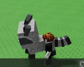 Raccoon RANDOM AGE/WEIGHT