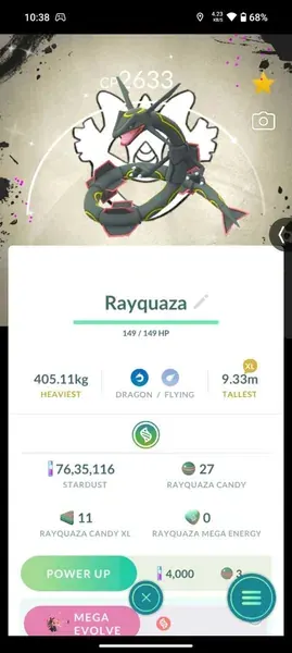 Shiny Rayquaza Rol Bg
