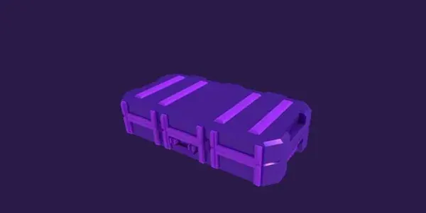 Skin Case