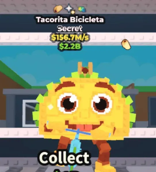 Tacorita Bicicleta